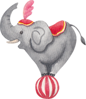 Circus Elephant Illustration